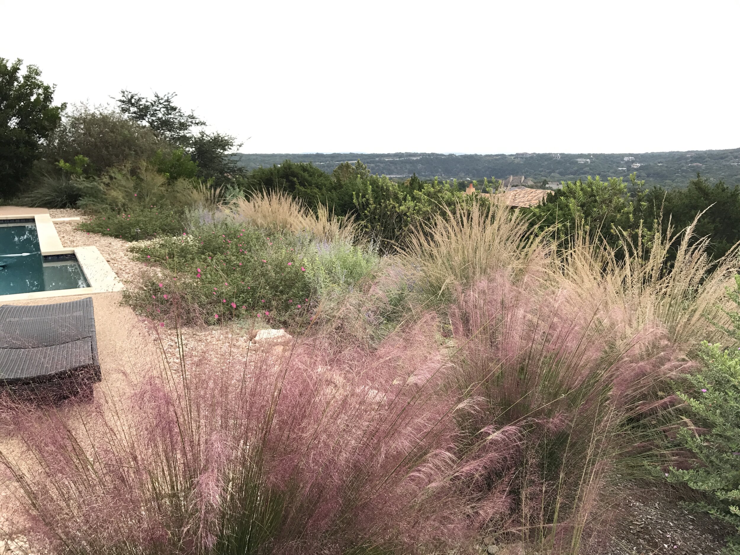  Native grasses are an essential part of a native prairie. Their roots reach deep in search of moisture helping prevent erosion. 