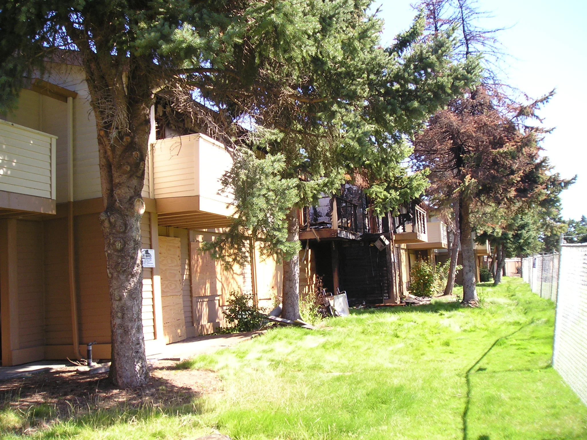 P1010160.JPG