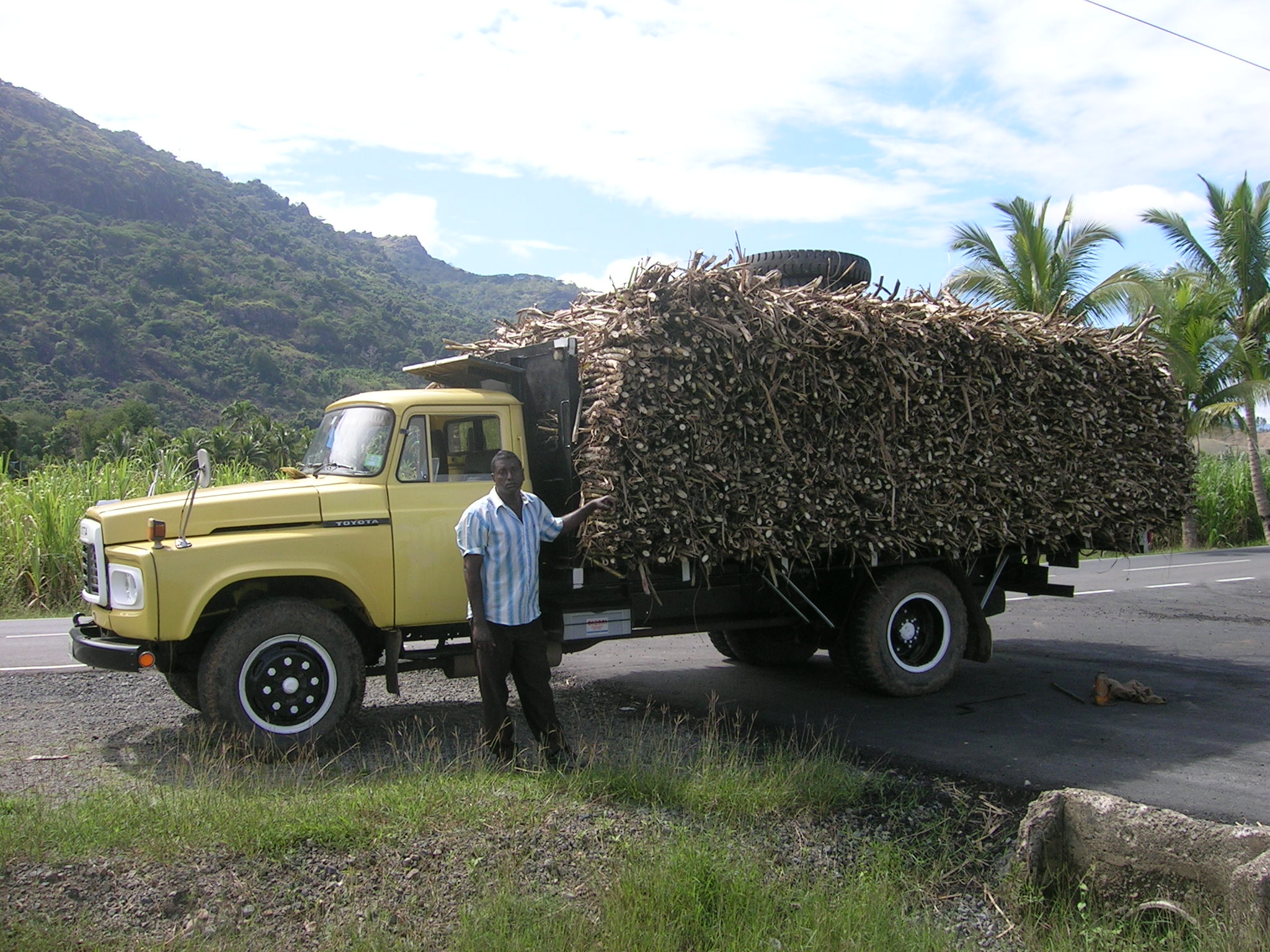 cane truck.JPG