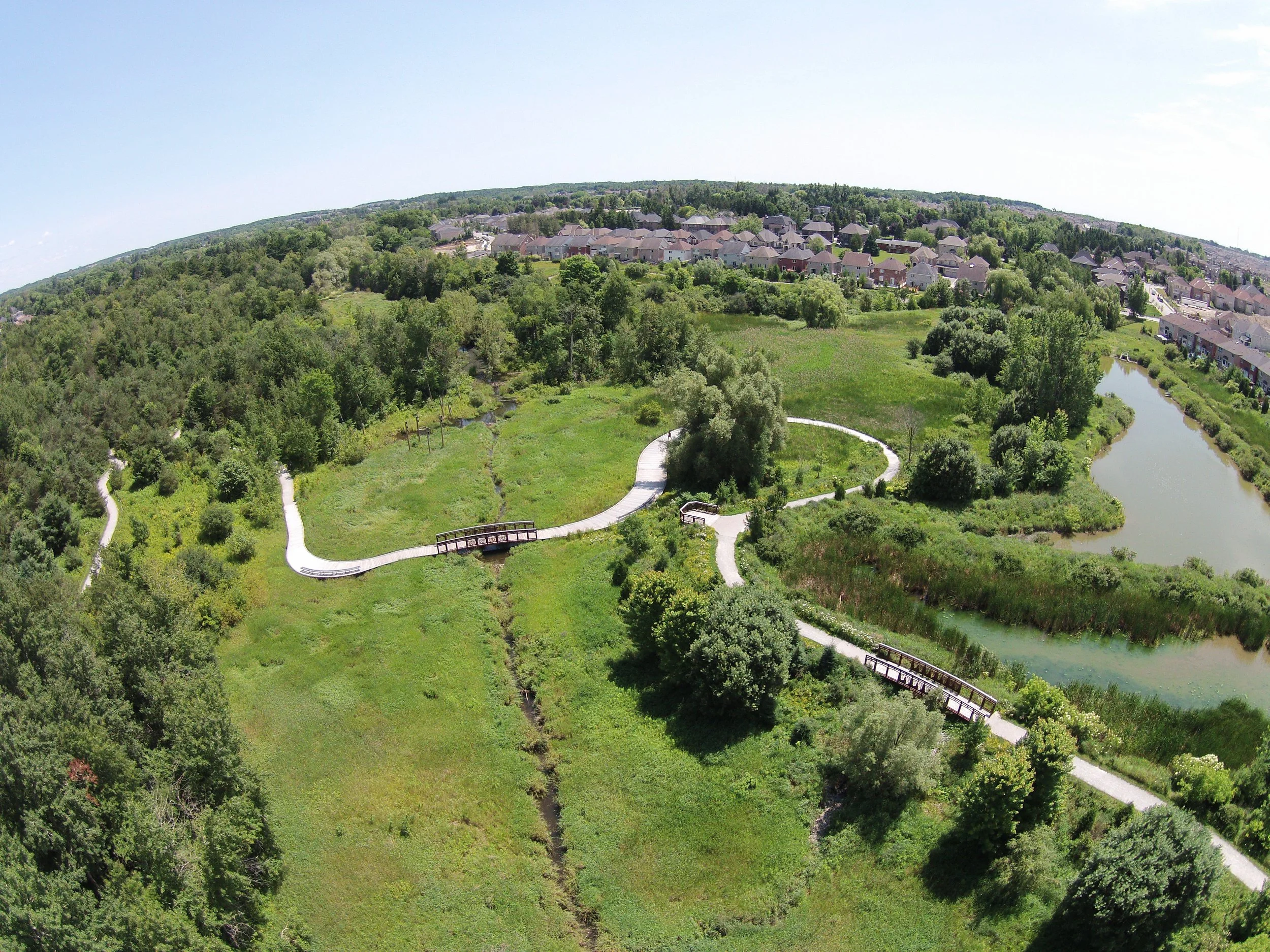 DJI01225.JPG