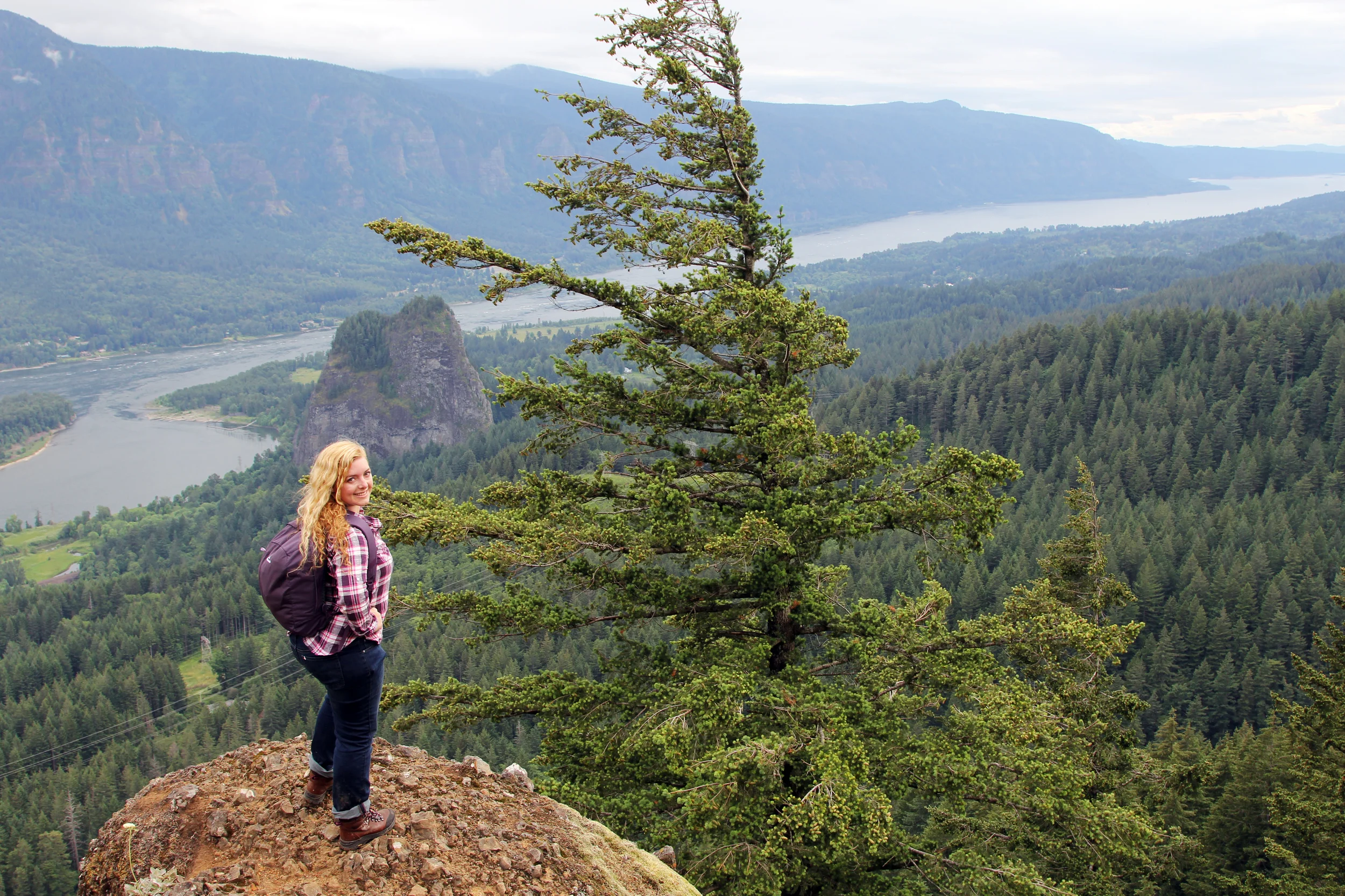 Hamilton Mountain, Washington State, USA