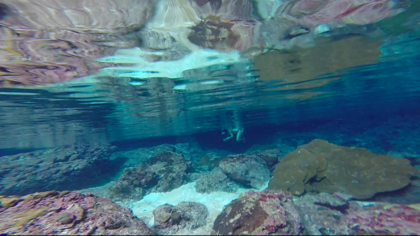 Snorkelling G .jpg