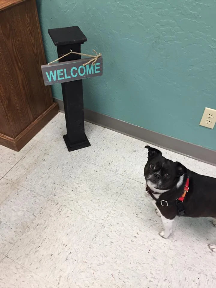 Moxie would like you to know that everyone is welcome at Muphy's Paw.