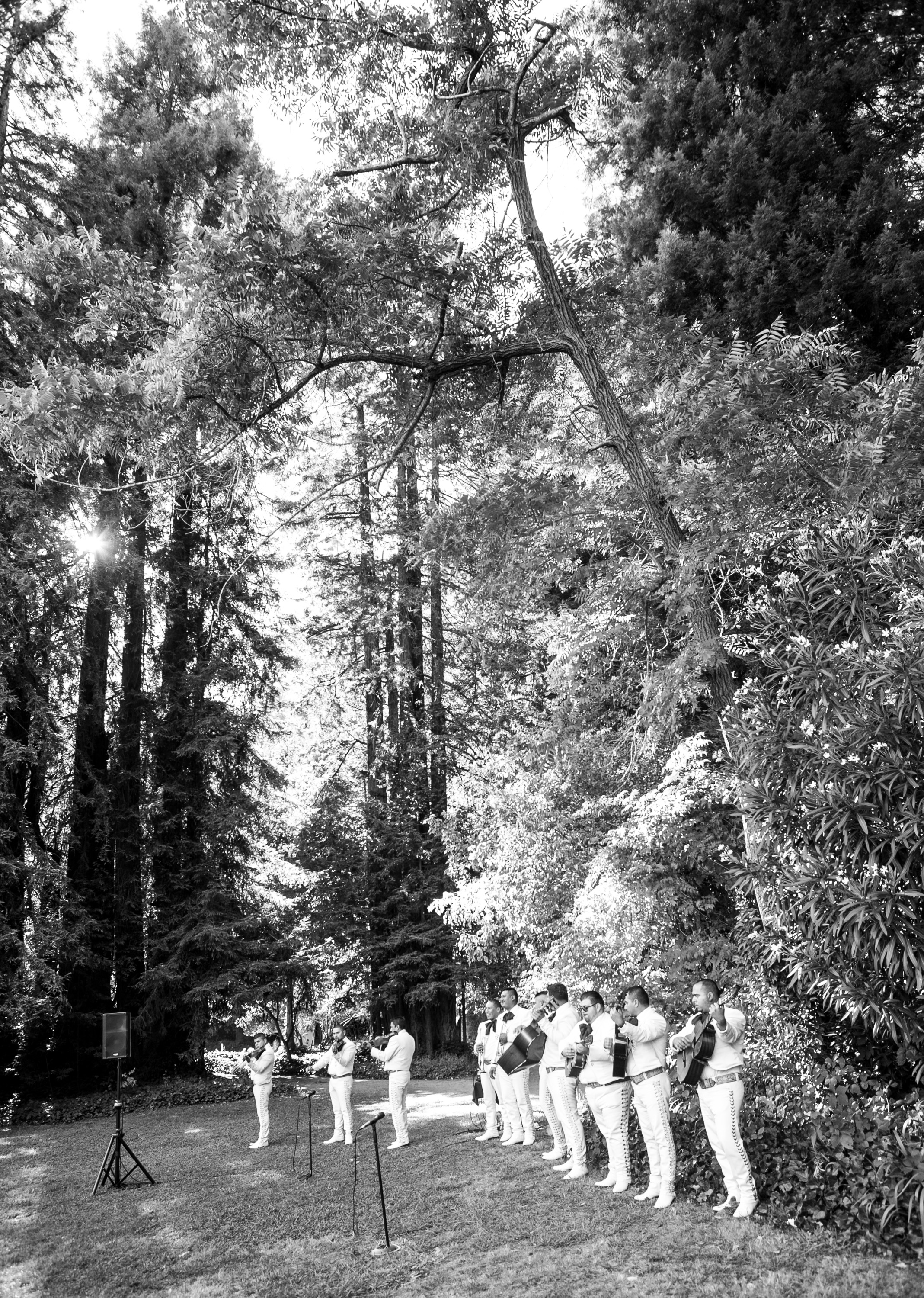 ceremony_Print-11.jpg