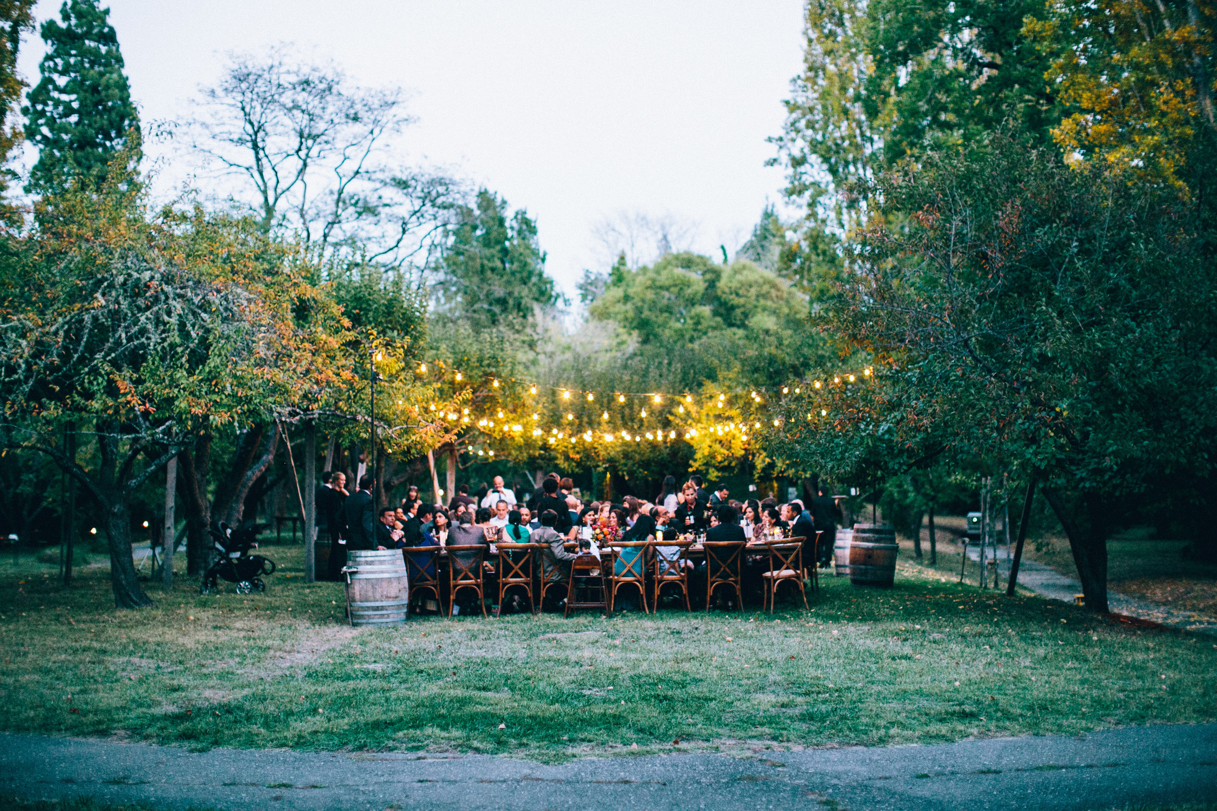 Dinner_Print-11.jpg