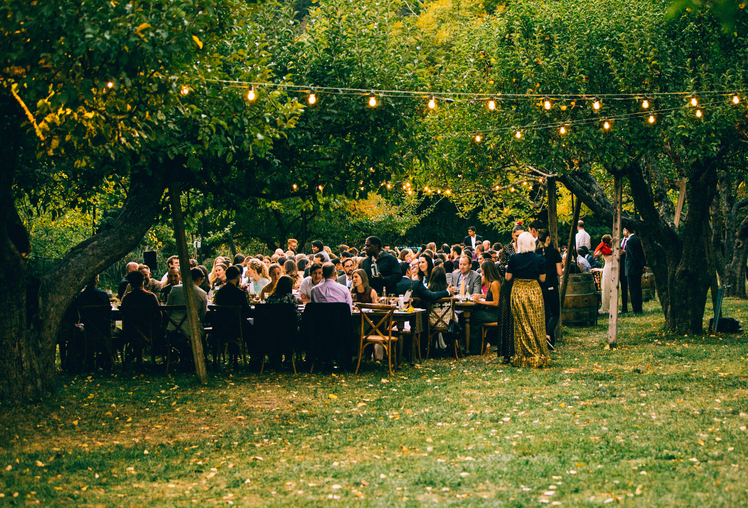 Dinner_Print-31.jpg