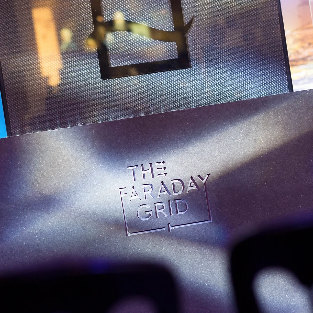 FaradayGrid_LowRes_002.jpg