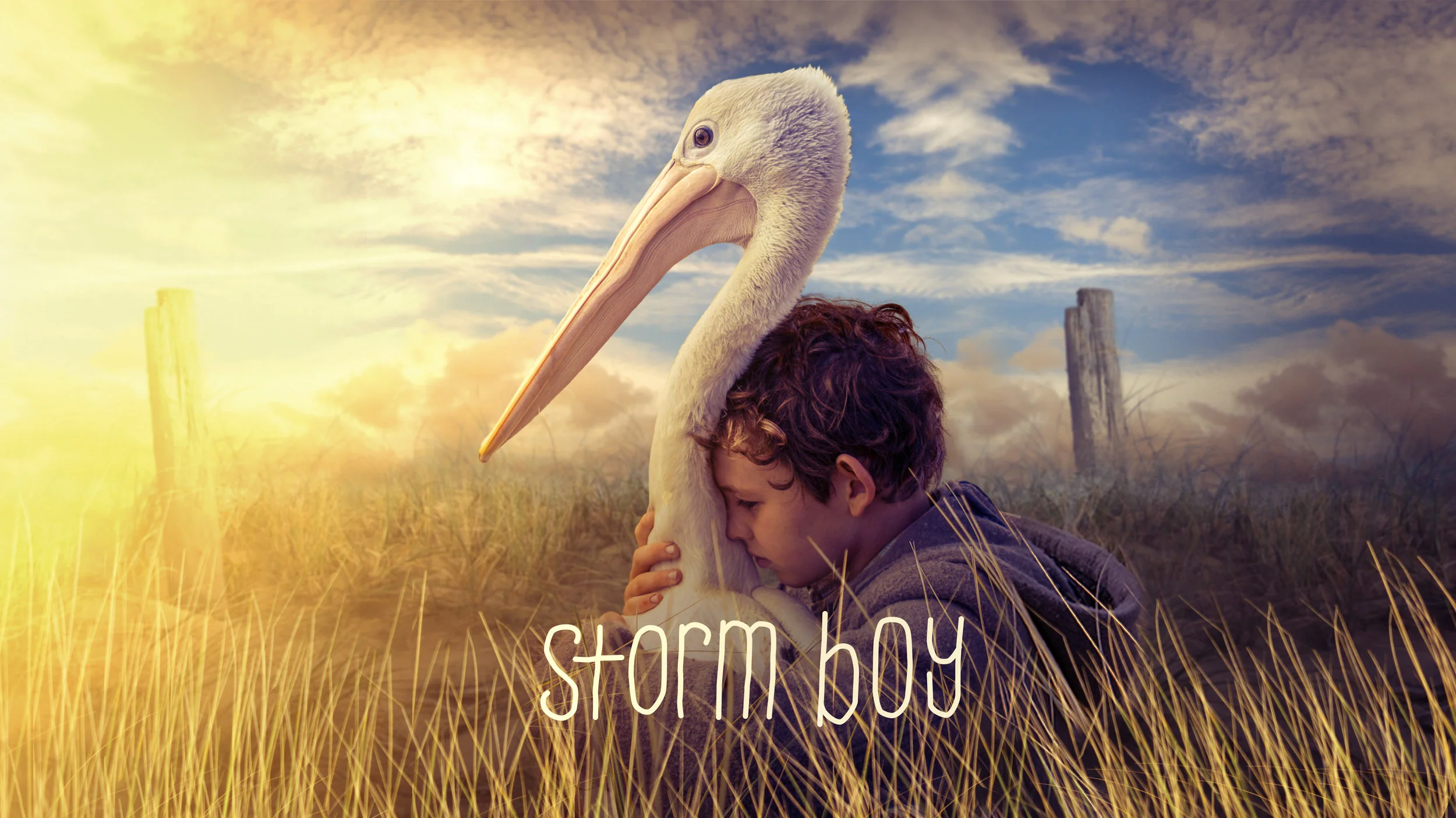 Storm Boy website poster V2small.jpg