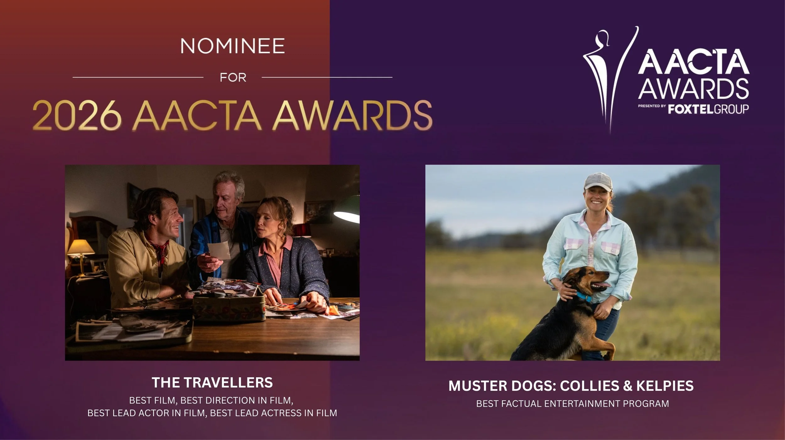 Ambience Entertainment Scores Multiple 2026 AACTA Nominations