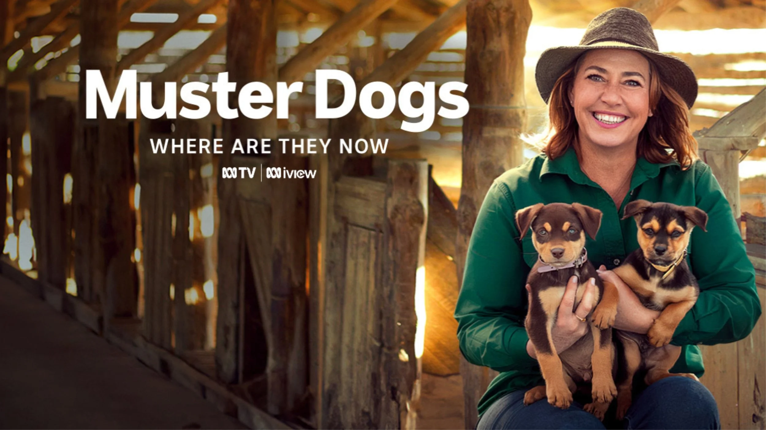 Muster Dogs: Where Are They Now
