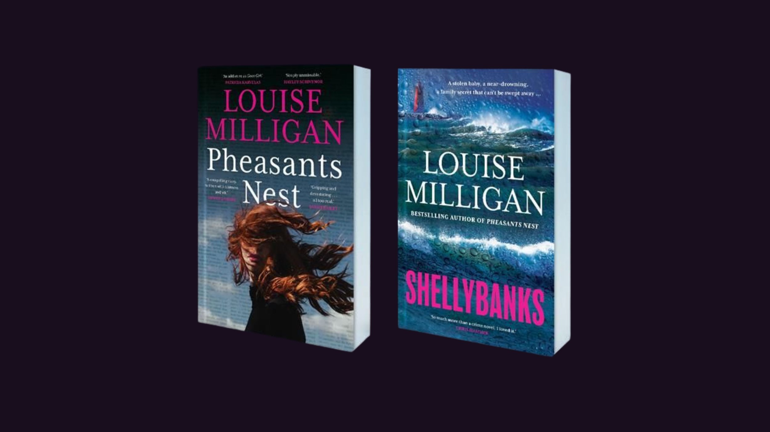 Ambience Entertainment Options Two Louise Milligan Crime Novels for TV