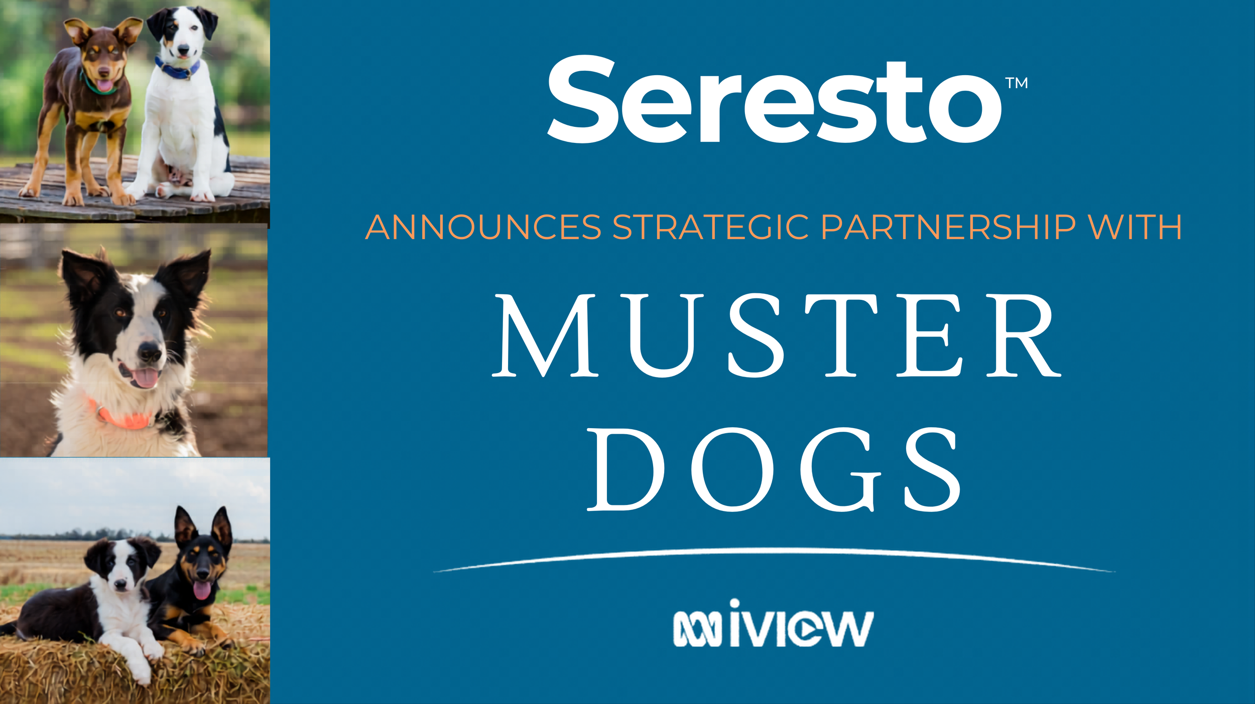 Seresto™ enters strategic partnership with ABC™ Commercial to support the smash-hit series Muster Dogs™