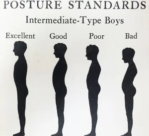 Artwork from Prof. Osgood's 1930 report.