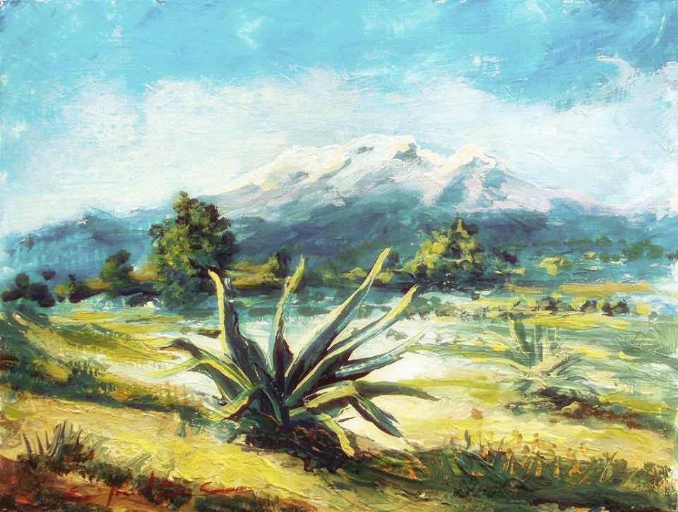VISTA AL VOLCAN IZTACCIHUATL Encaustic / canvas 16 X 24 inches 2009