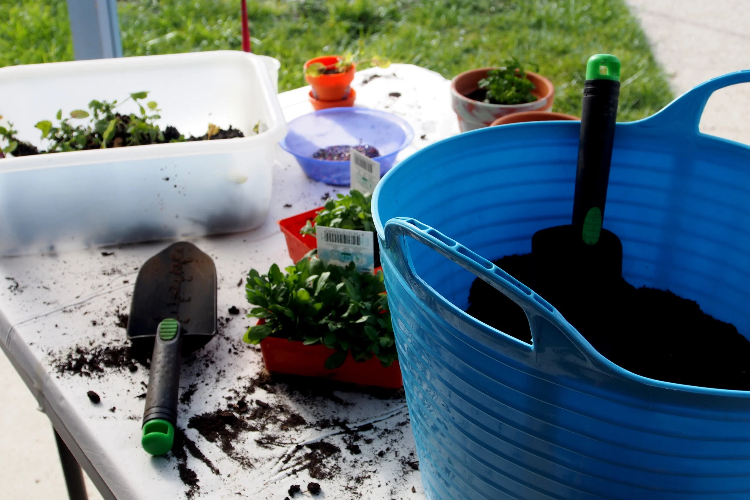 PLANTING FOR PEACE  Wednesday, July 26, 2017 Northern Suburbs Community Centre