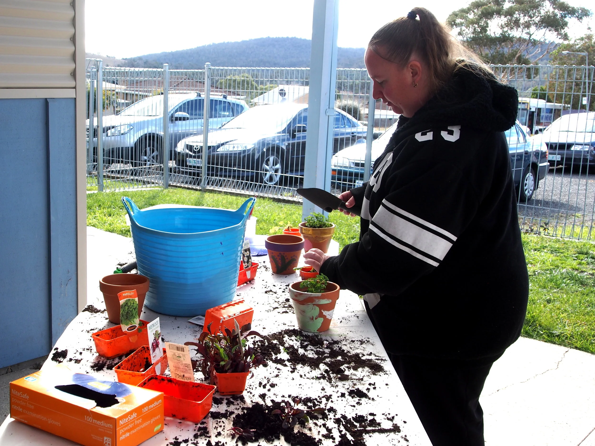 PLANTING FOR PEACE  Wednesday, July 26, 2017 Northern Suburbs Community Centre