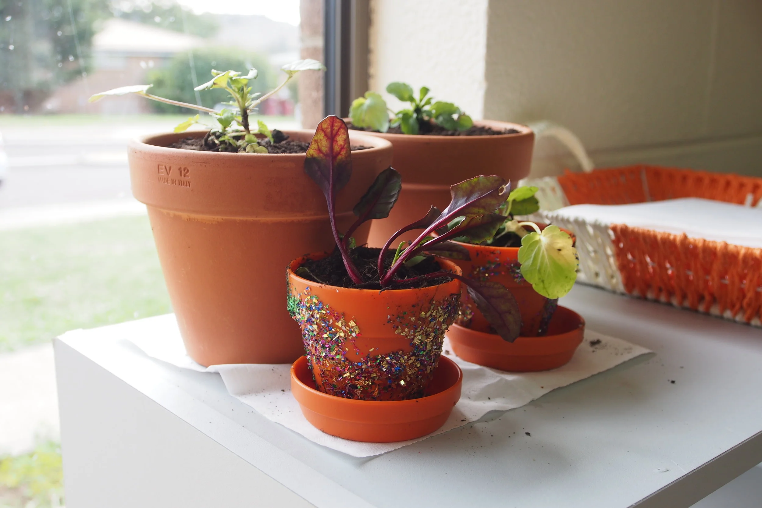 PLANTING FOR PEACE  Wednesday, July 26, 2017 Northern Suburbs Community Centre