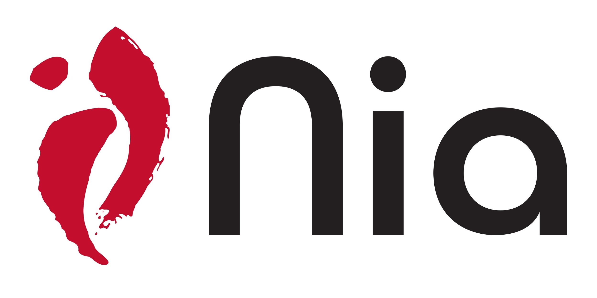 New Nia-Logo-3000px  BIG.jpg