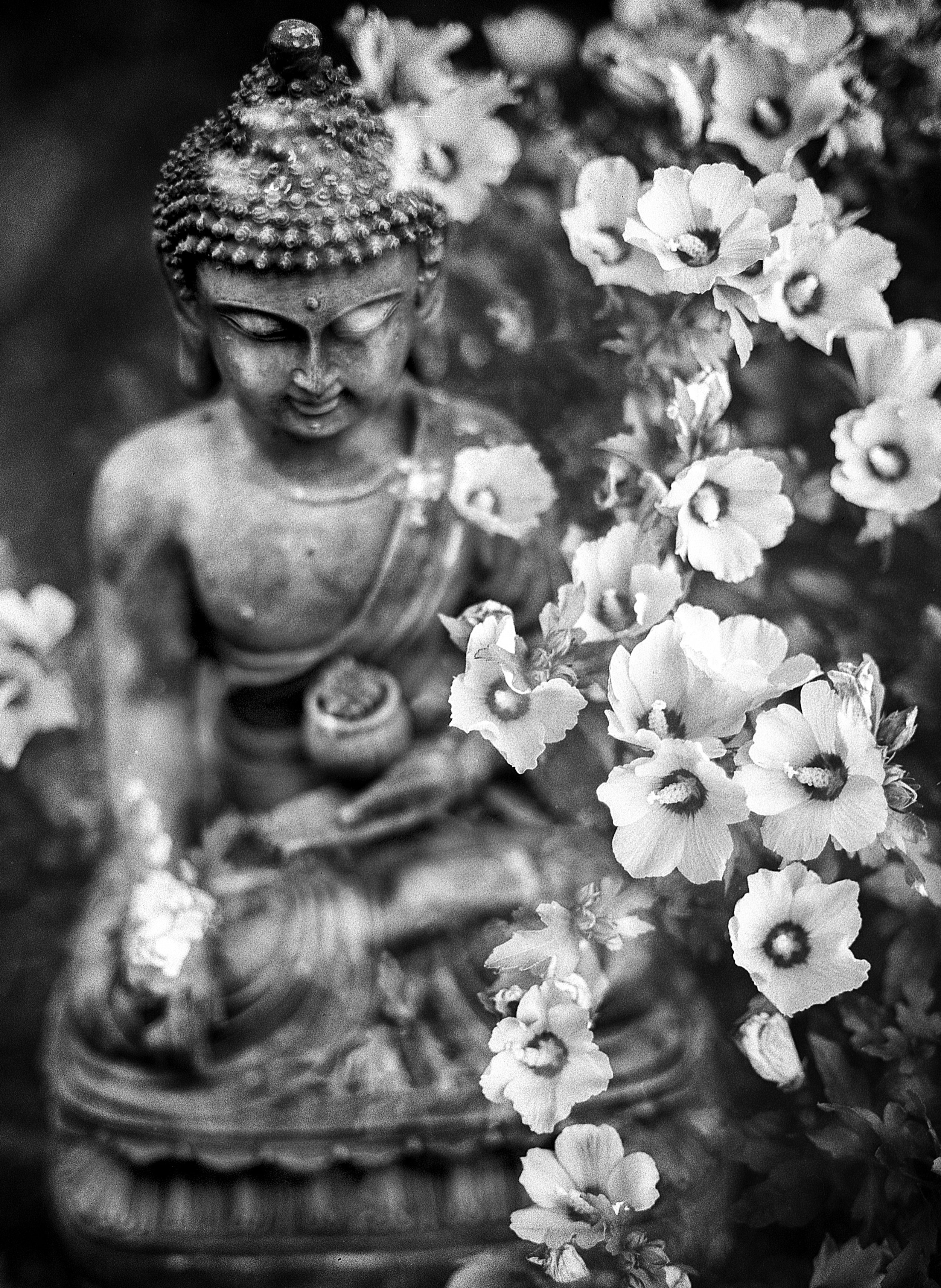 Siddhartha By Hermann Hesse - Launceston poet and actor Cameron Hindrum will read the novel—and he invites you to help him!
