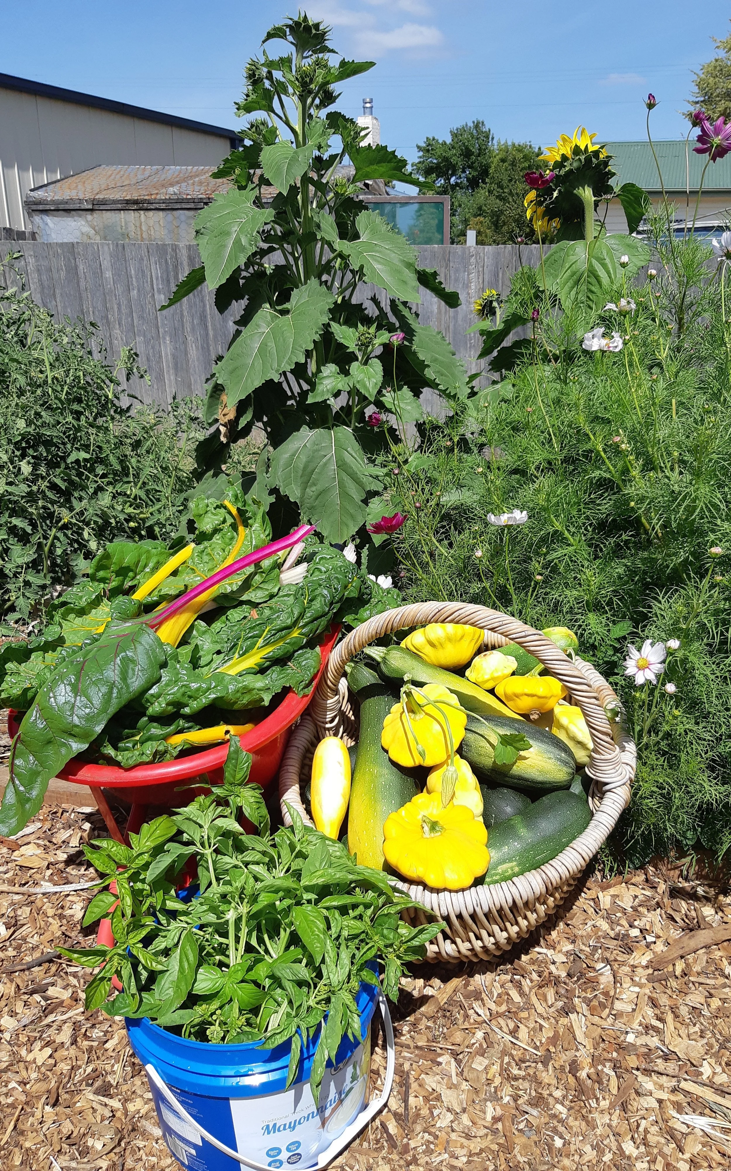 Grow, Gather, Cook, Eat - Food Together for Peace