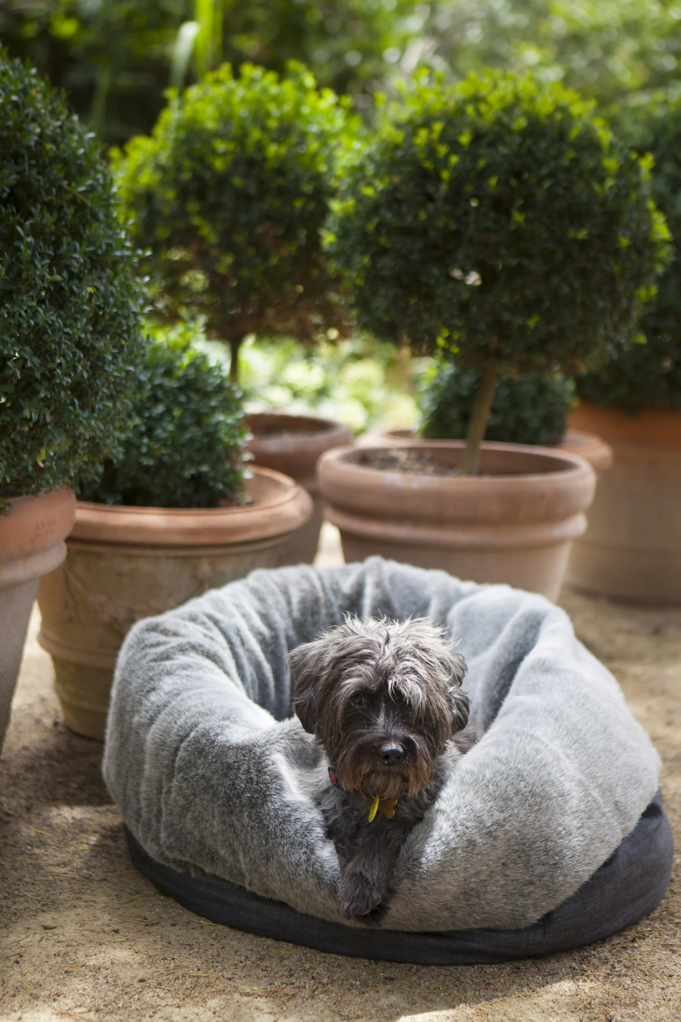 Puppy Pod Medium — Maison Dog Luxury faux fur pet beds