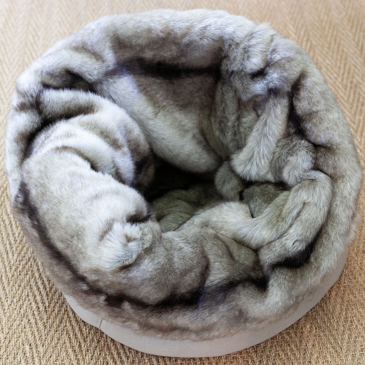 04102019---MD-Fat-Puppy-Pod-Web.jpg