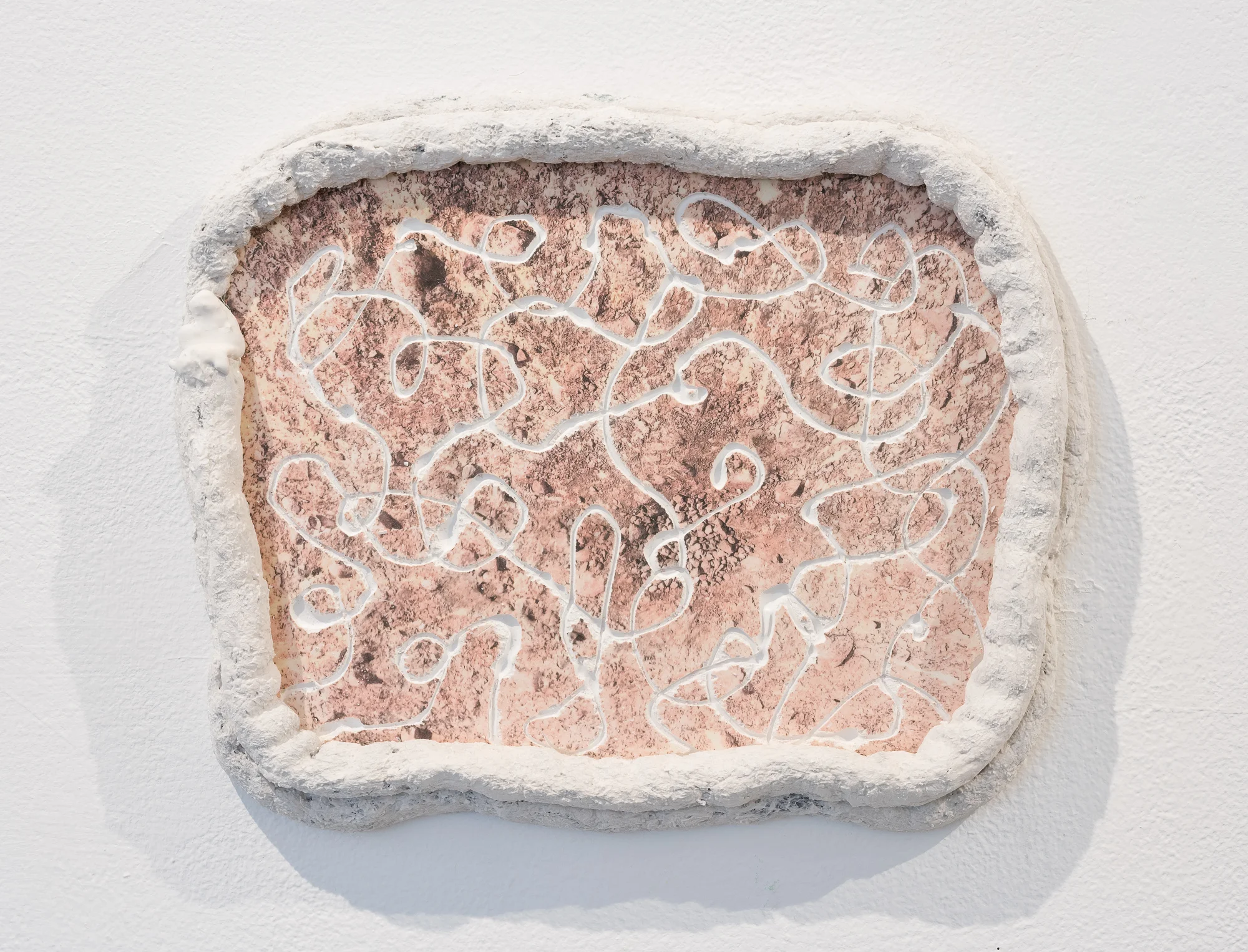  Title: Shit Star  Date: 2018  Medium: Hydrocal, inkjet transfer, drystone, felted rope  Dimensions: 9”H x 11”W  Location: Gallery Route One  Price History: $85  Show History: Melting Point-Gallery Route One  Notes: 
