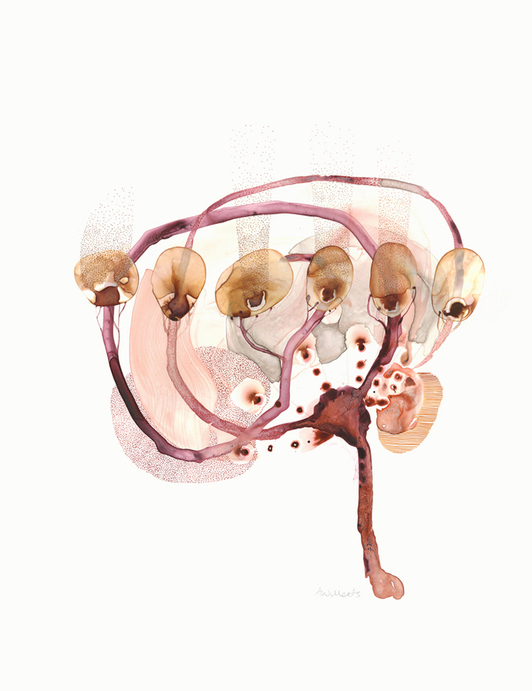 brain.jpg