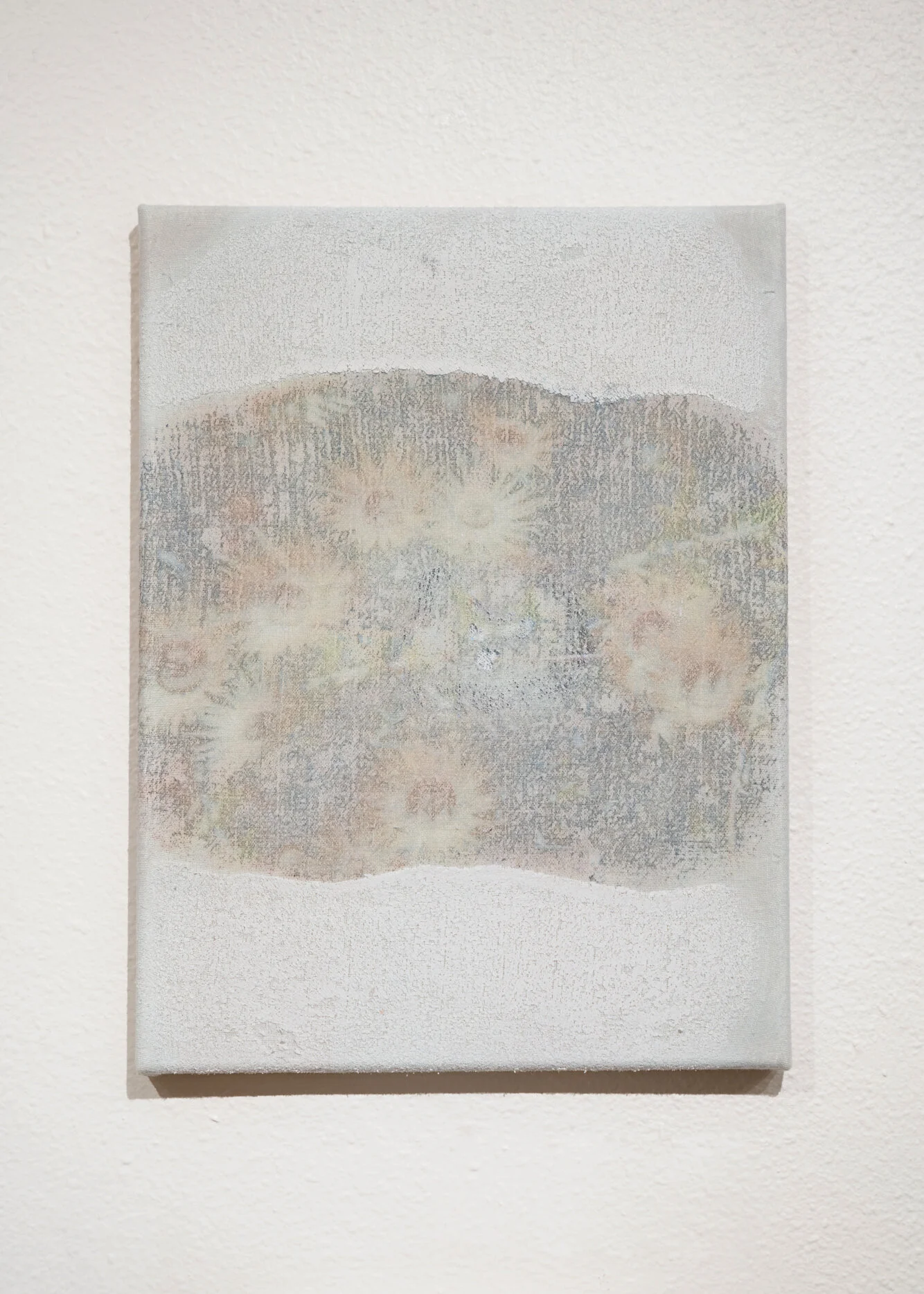  Flower Bones  2019  Plaster, inkjet transfer, cotton fabric  12”x9”  $150 