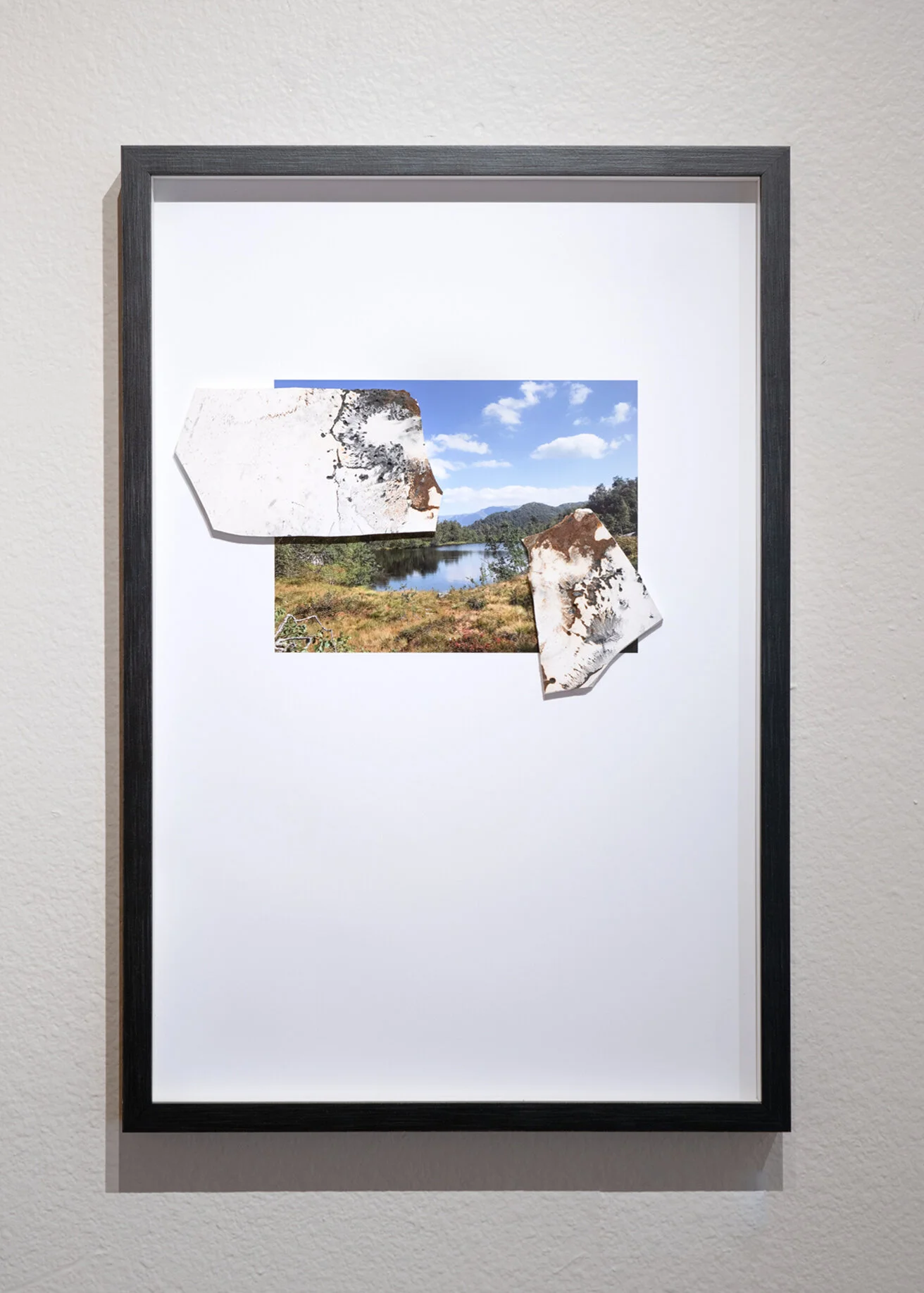  Ambient Interference, Ants at the Picnic  2019  Plaster, bronze powder, powder graphite, digital print   26” x 18”  $650   