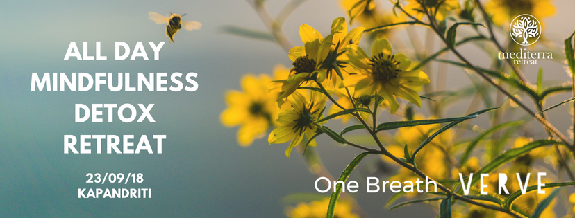Ημερήσιο mindfulness retreat (ενσυνειδητότητα) με αποτοξίνωση και διαλογισμό στο Καπανδρίτι