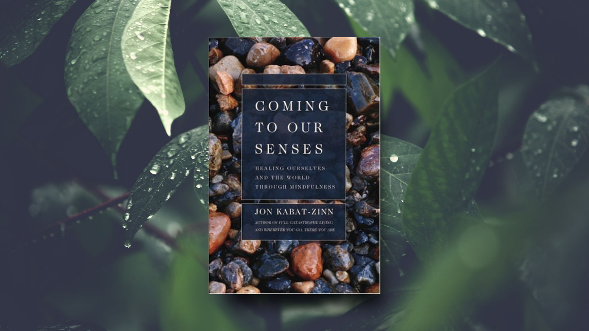 «Coming to Our Senses» του Jon Kabat-Zinn • Σύνδεση σώματος και νου
