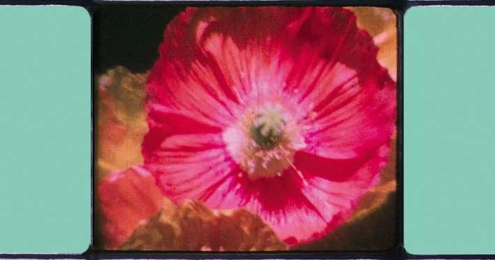 Janet Merewether | Short before the movie | 2003 | Super8 | 5:50