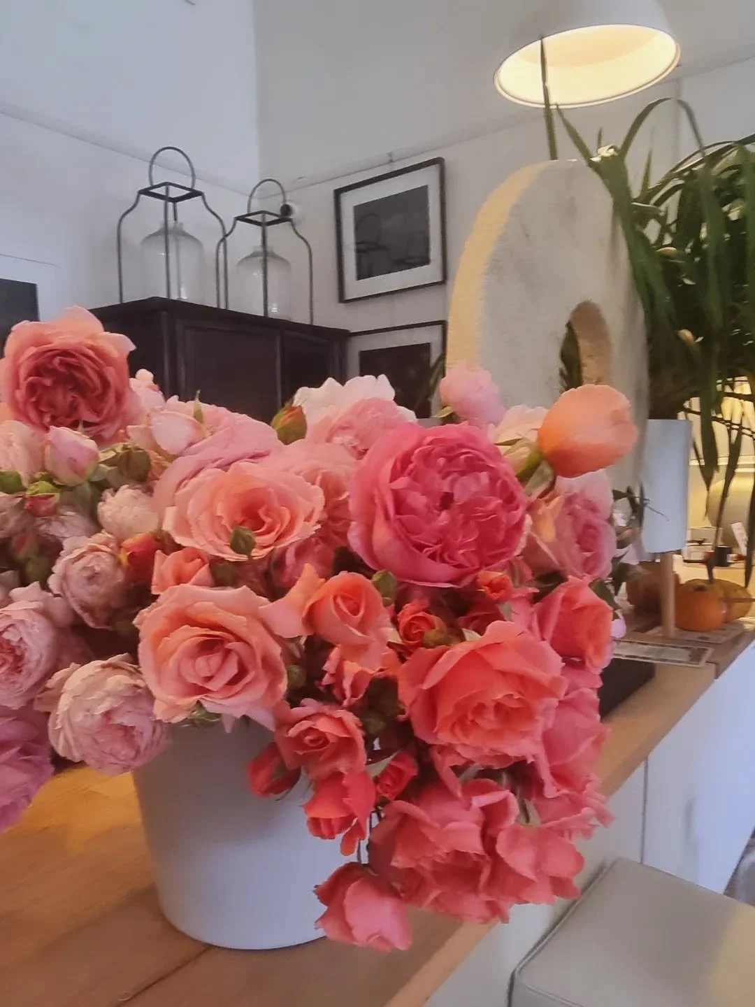 Divine David Austin roses from Karen @mokepillymacedonranges.  Quality,  superb 🌹