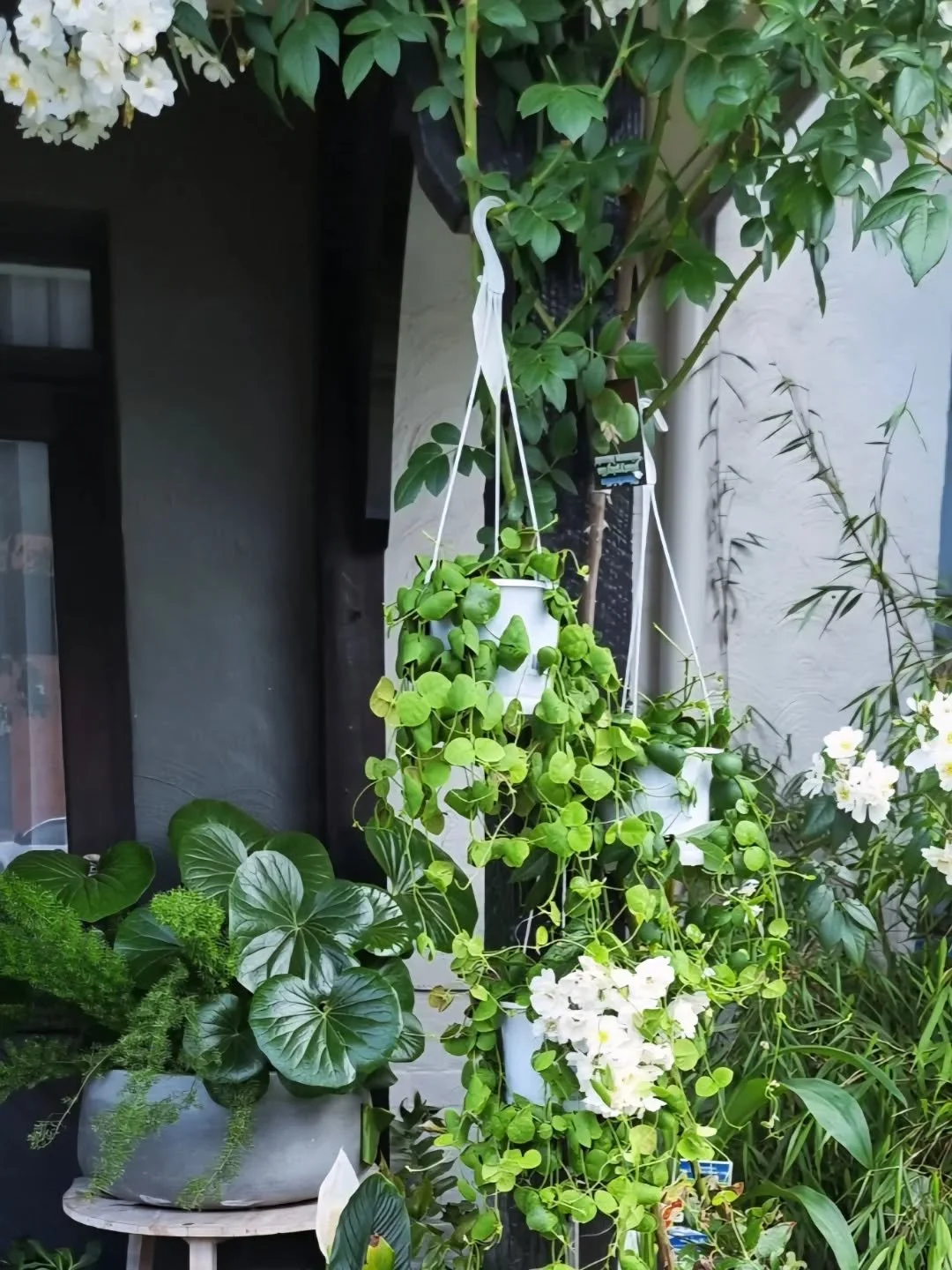 G R E E N  on  G R E E N

🌳🏡Our portico display is a study in green on green &mdash; fresh, calming, and beautifully layered with texture. 
We simply love green.