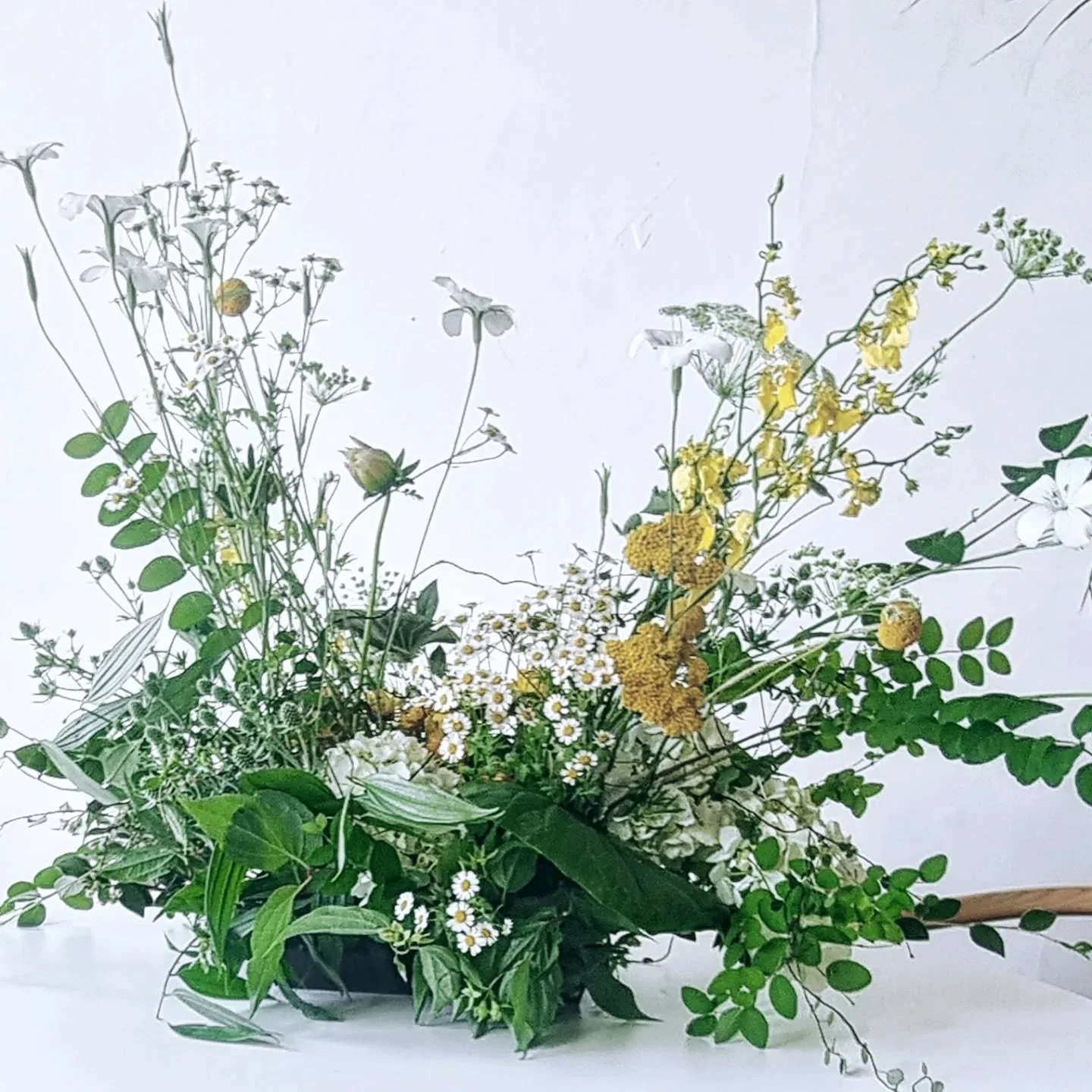 ✨No rules I no tradition -  A whimsical brief for the Christmas table 🌿🎄
Organic, wild and full of playful charm.