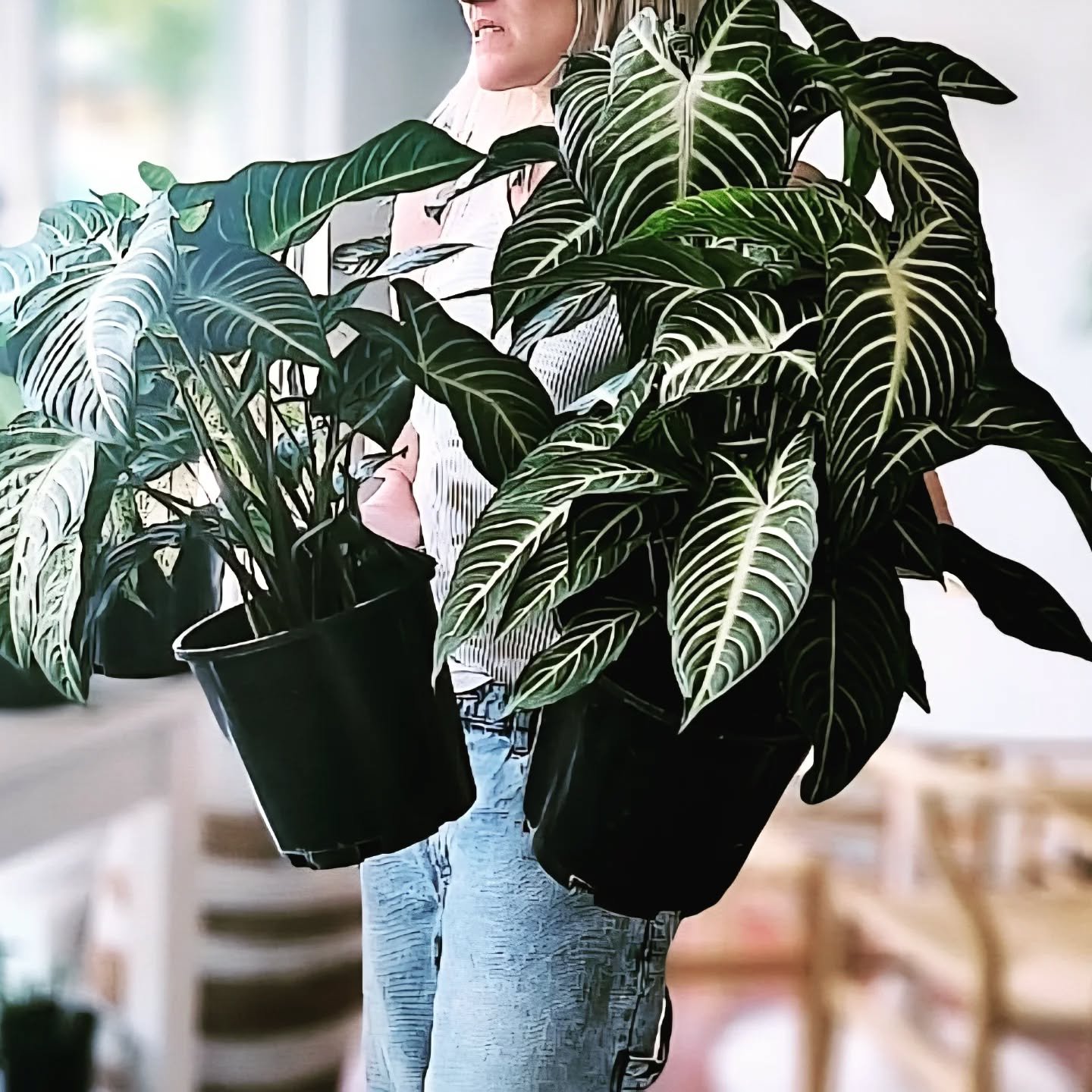 🌿✨ Whilst we&rsquo;re Taking a Little Break&hellip; ✨🌿

Flowers in a Vase is having a short pause while we recharge, reset, and dream up what&rsquo;s next, 💚
but behind the scenes, we&rsquo;re already planning something special&hellip;

When we re