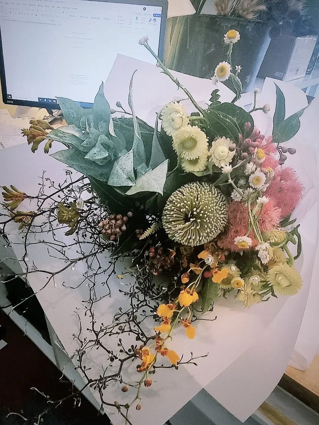 N A T I V E S -  Sculptural, interesting, beautiful