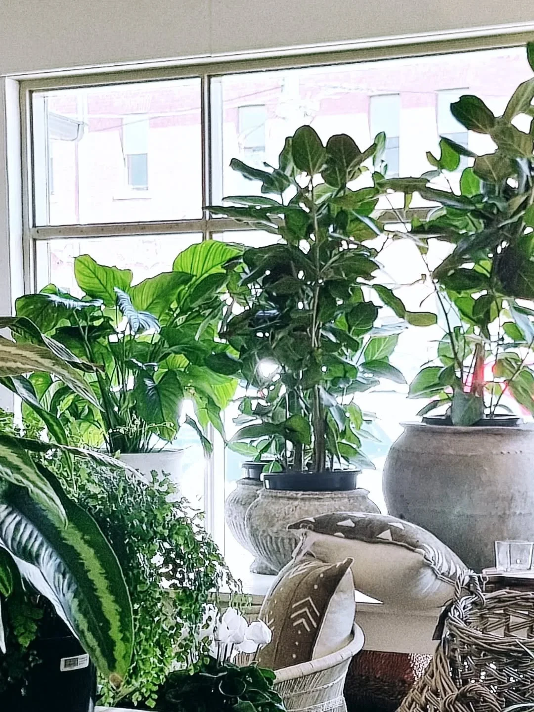 Window dressing @flowersinavase1