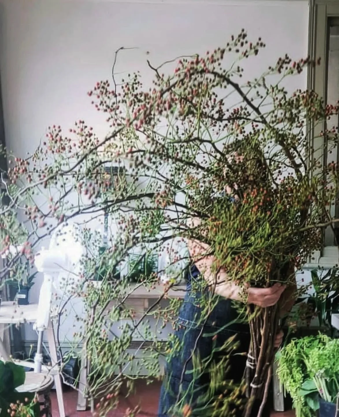 R O S E B E R R Y time.