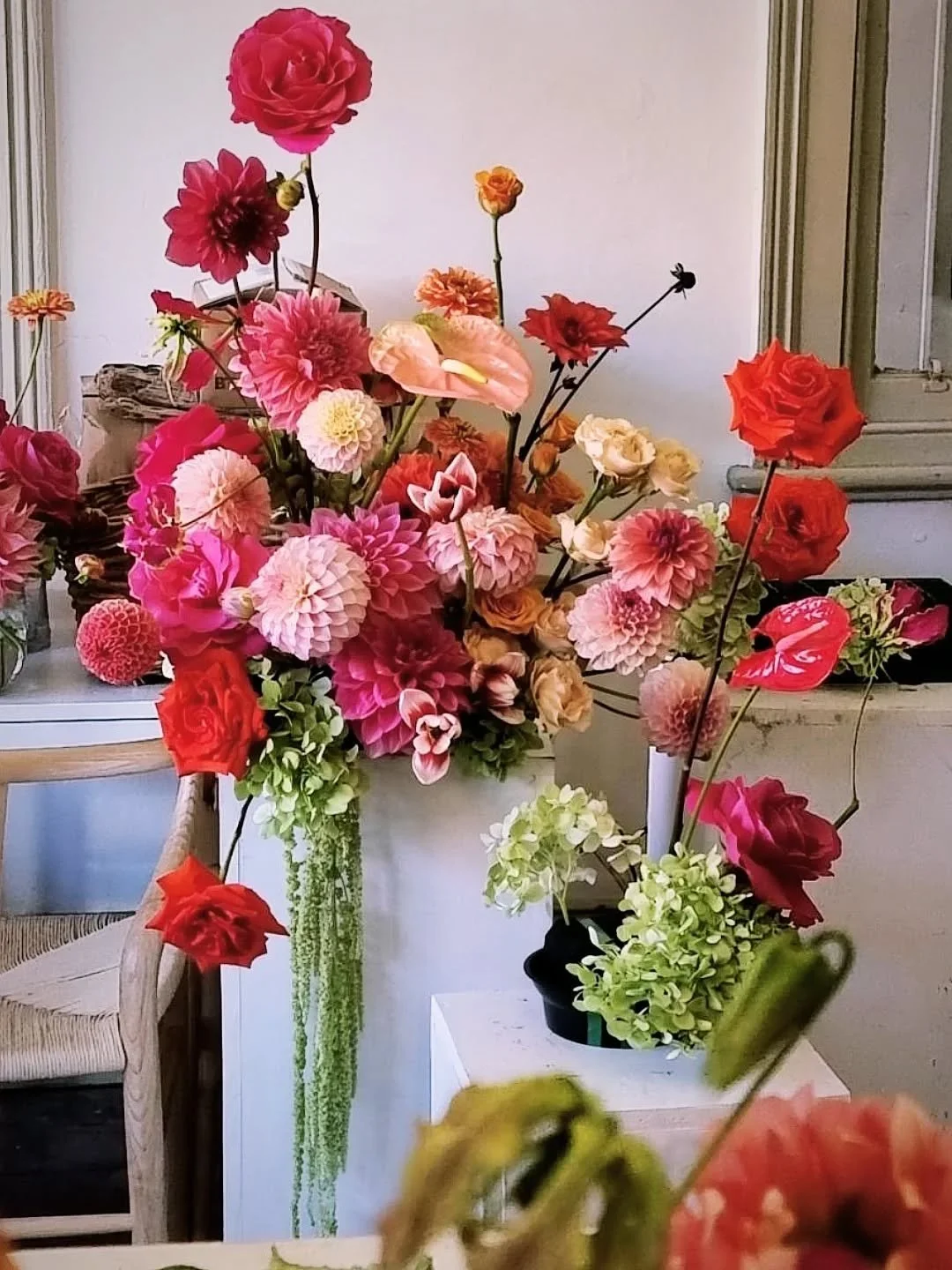 A  C A R N I V A L  O F  C O L O U R 🎪
Stunning Dahlias

Watermelon, coral, &amp; pink  Dahlias make this arrangement a celebration of colour, elegance, and 
a happy statement @flowersinavase1 

#flowersinavase1
#dahlia
#weddingflowersmacedonranges