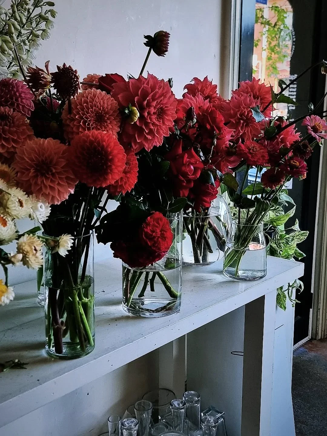 W A T E R M E L O N🍉
Dahlia

One of my favourites and such a versatile colour combines beautifully with others and styling/occasions. Available fresh at Flowers in a Vase
@flowersinavase1 

#flowersinavase1 #beautifulbouquets #woodendflorist #dahlia