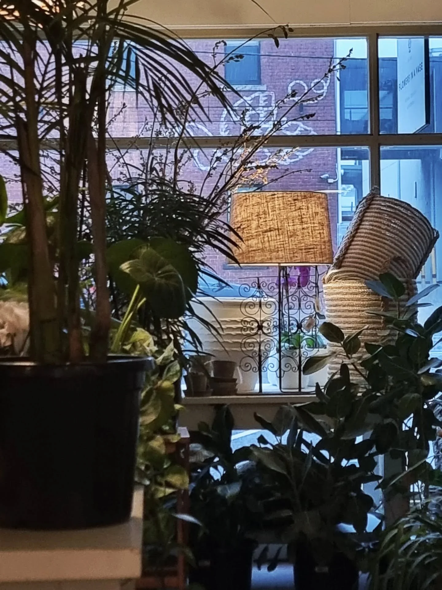 F L O W E R S  I N  A  V A S E 
So moody  on a stormy afternoon.