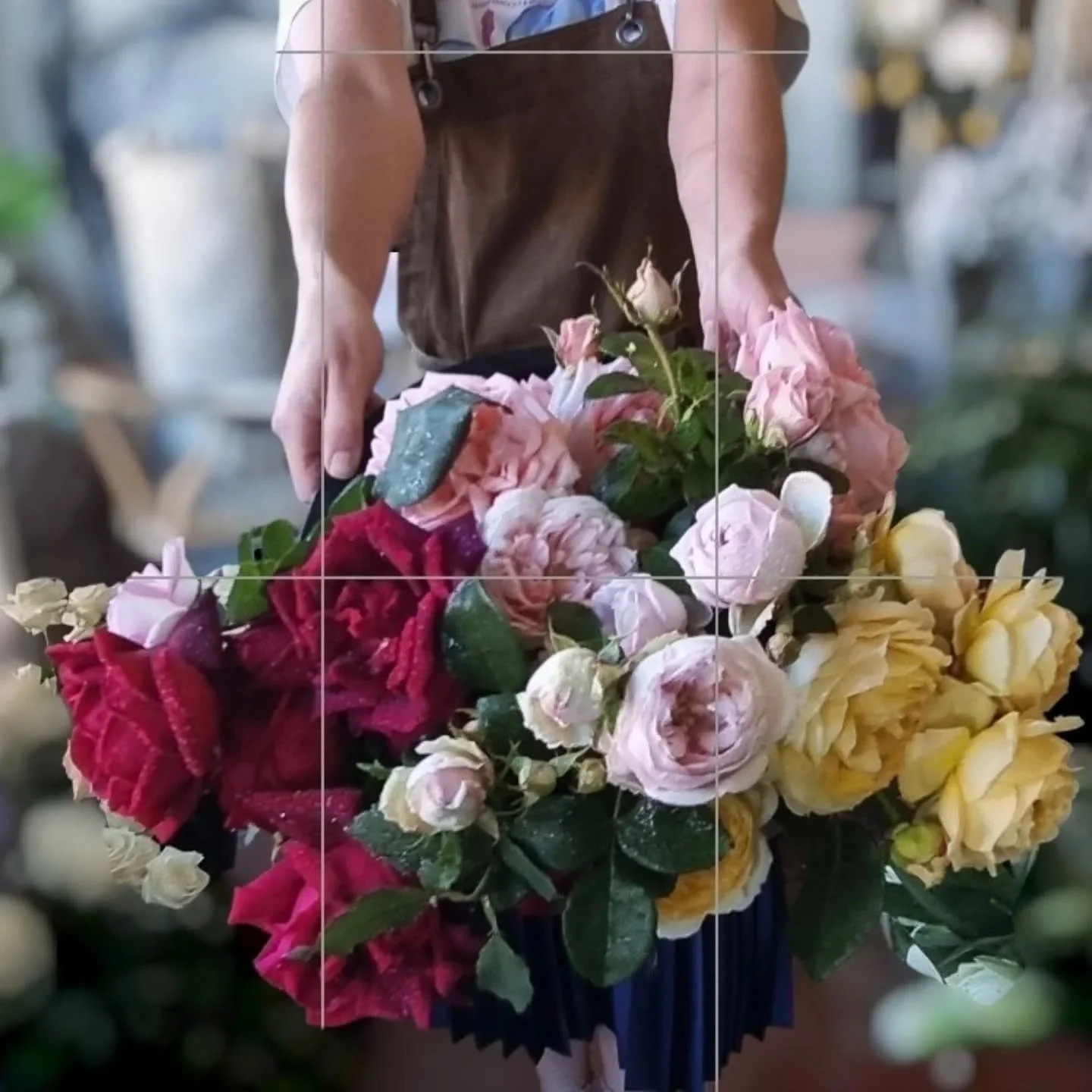 R O S E  P I C K  today.  Still so Luscious - and the scent!!

More co.ing for Mothers day.  Don't forget to place your orders for a personalised arr arrangement.