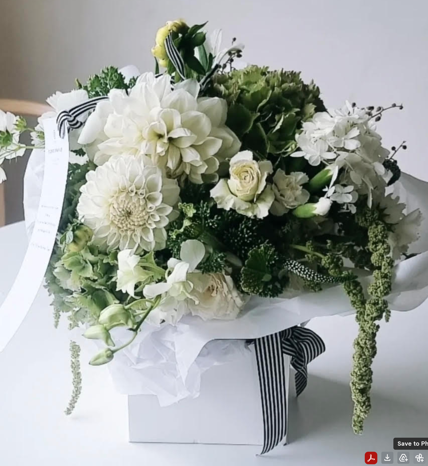 Strauss Classic Green & White.png