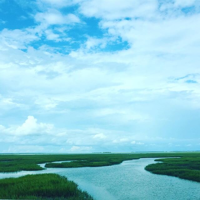 No place like home
.
.
.
.
.
.
#iop #charleston #nature #inspiration #endofsummer #holiday