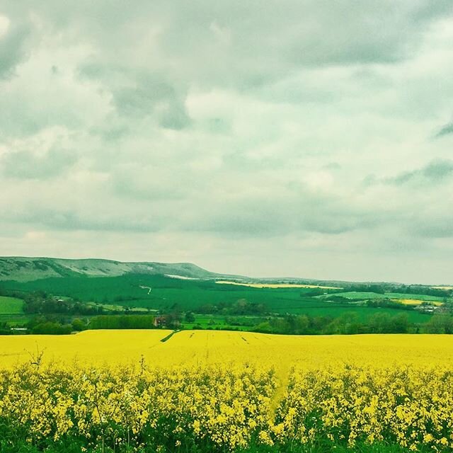 This photo was taken exactly 2 years ago today on a road trip through the English countryside with my sister and (then) soon-to-be one year old daughter. Is there any place more breathtaking than England in early spring? I mean, except for England in