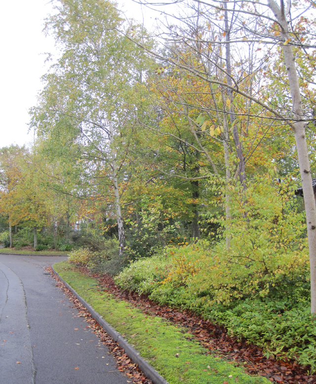 This is the point where the road crosses the disused railway: