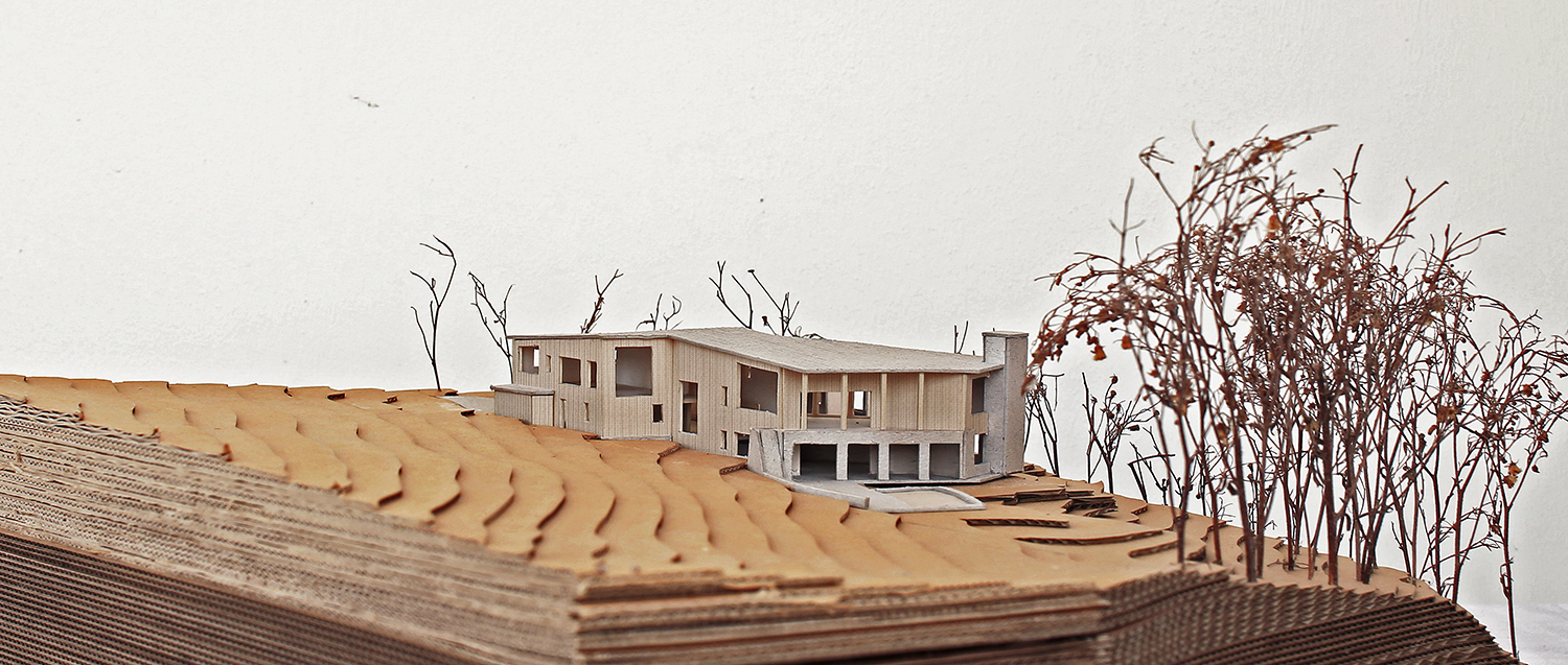 Swallowcliffe-passivhaus-wiltshire-prewett-bizley-architects-landscape-model-3.jpg