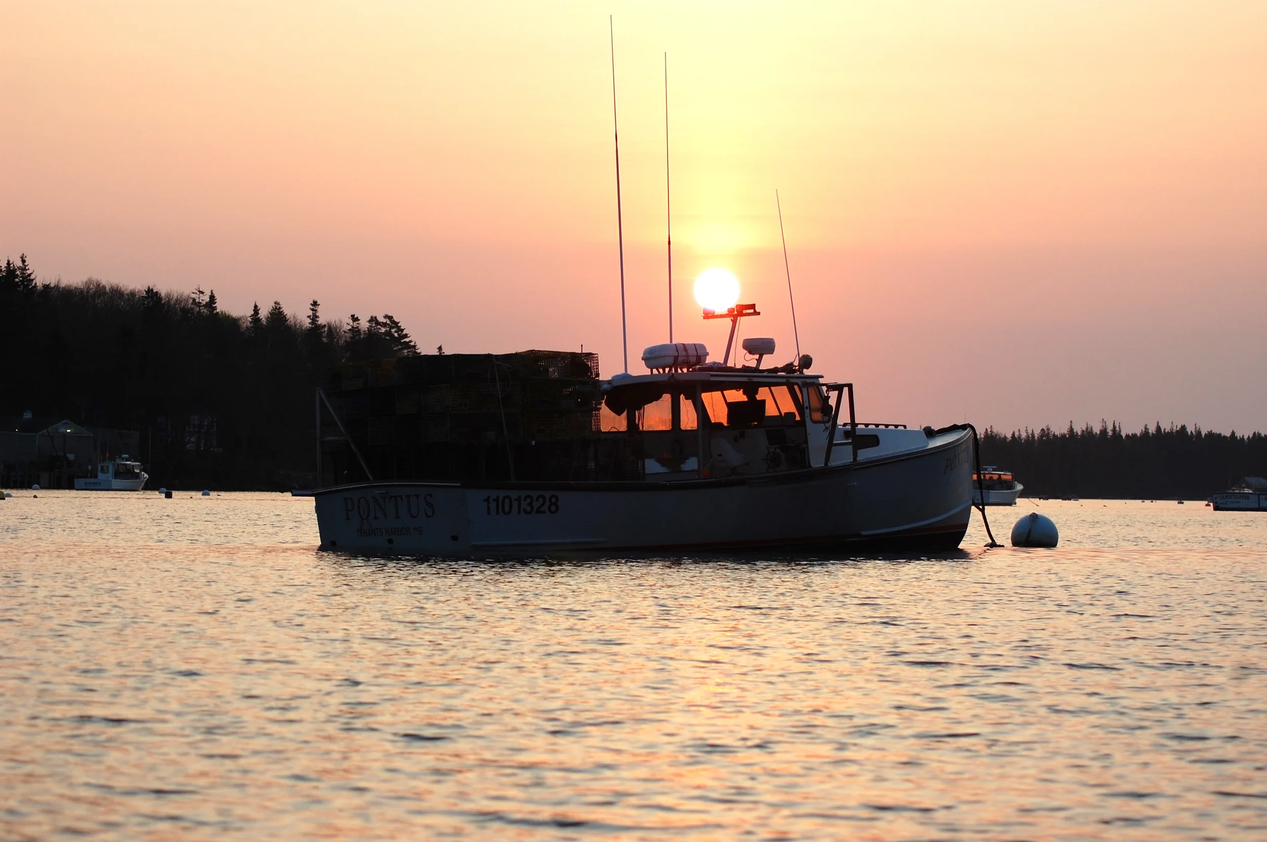 DSC_3315.JPG
